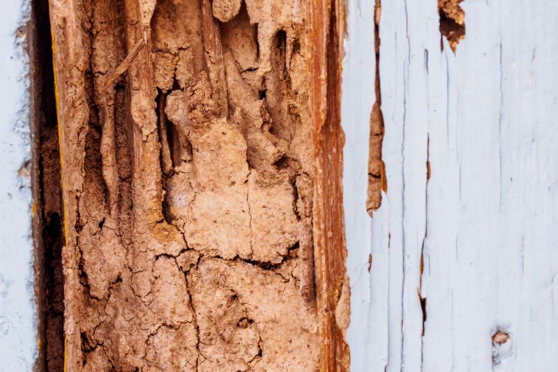 Dry Rot Repair in Kansas City, KS