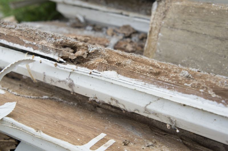 Wood Rot Removal in Alpharetta, GA