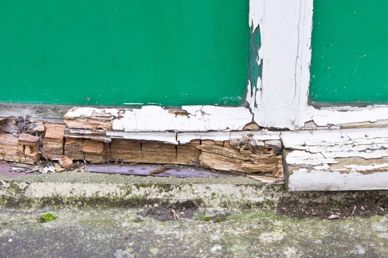 Decay Repair Service in Longmont, CO