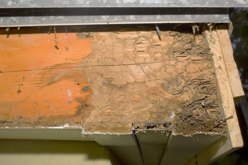 Dry Rot Remediation in Wilmington, NC