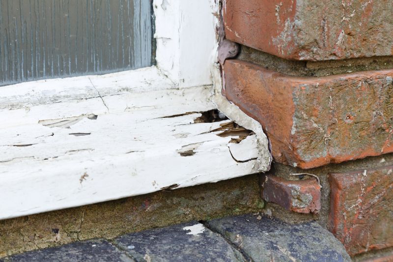 Rot Repair Service in Littleton, CO