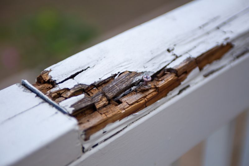 Rot Repair Service in Littleton, CO