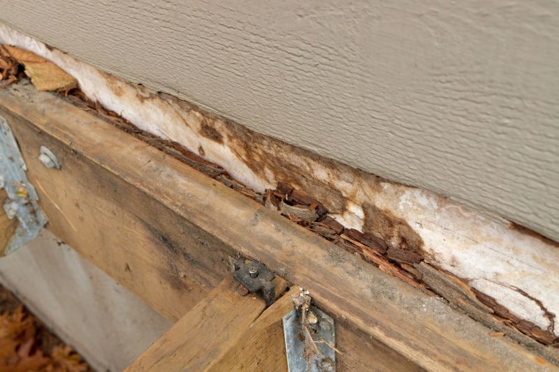 Structural Rot Repair in Wilmington, NC