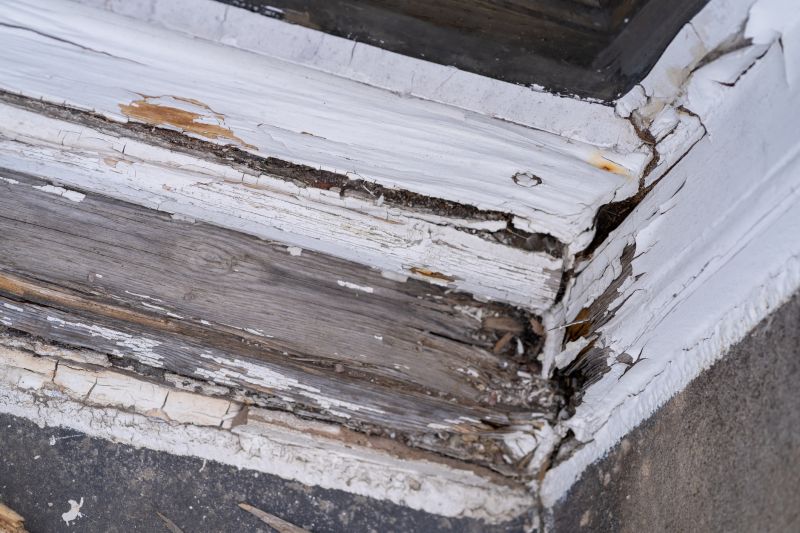 Wood Decay Removal in Overland Park, KS