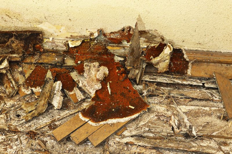 Wood Decay Repair in Arvada, CO