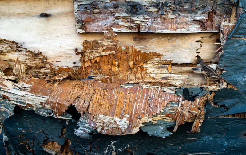 Wood Decay Repair in Kansas City, MO