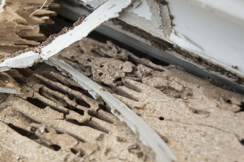 Wood Decay Repair in Indianapolis, IN