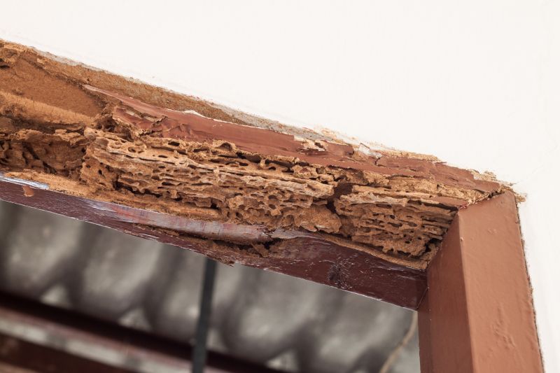 Wood Rot Repair in Conroe, TX