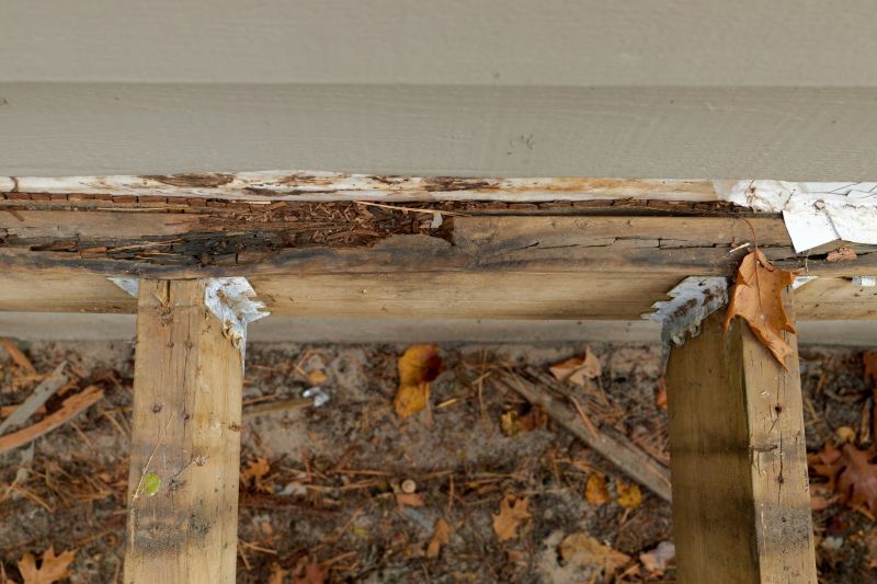 Wood Rot Repair in Boulder, CO