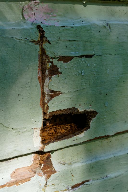 Signs of Wood Decay